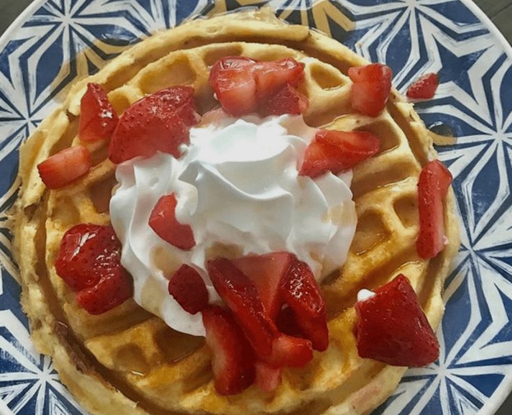 Two Point Protein Waffle