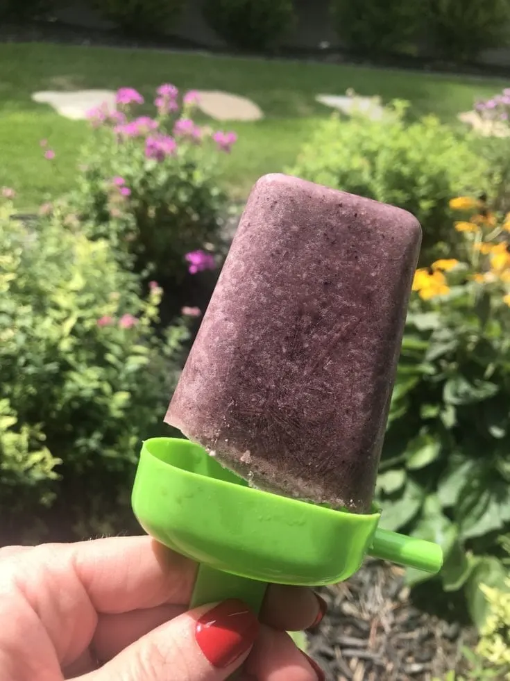 Frozen Blueberry Protein Popsicles