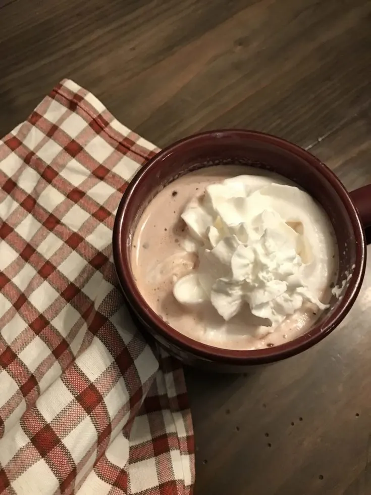 Skinny Mint Chocolate Chip Hot Cocoa