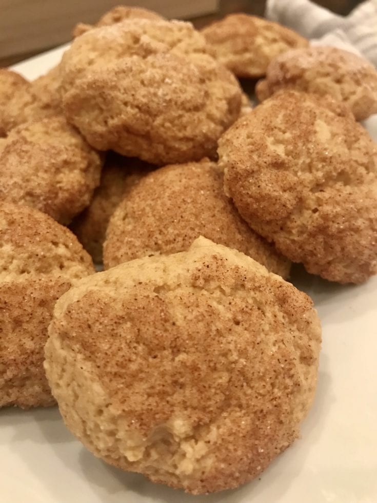 Two Point Soft And Chewy Snickerdoodle Cookies Pound Dropper