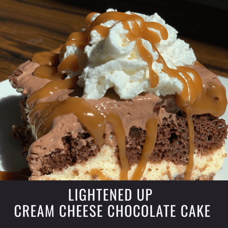 Lightened Up Cream Cheese Chocolate Cake 