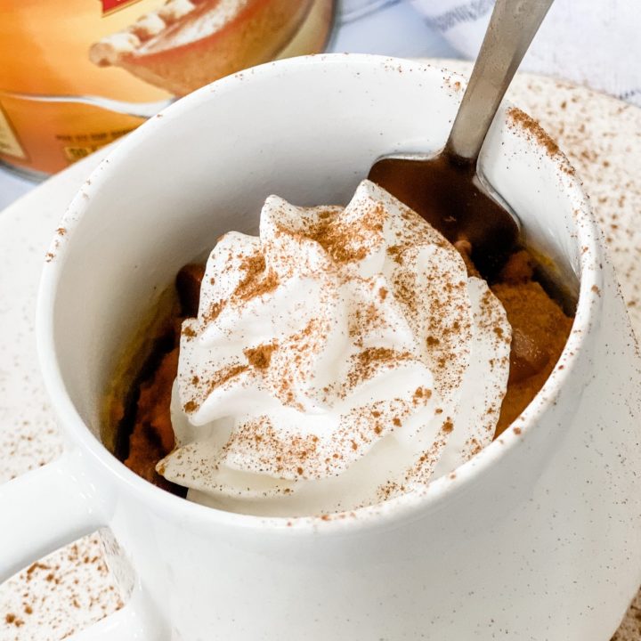 Best & Easiest Mug Cake Recipe with Cake Mix