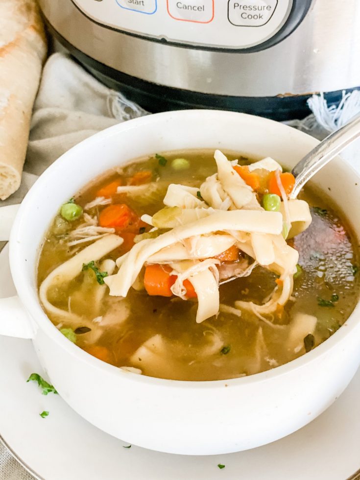 Classic Chicken Noodle Soup Recipe 