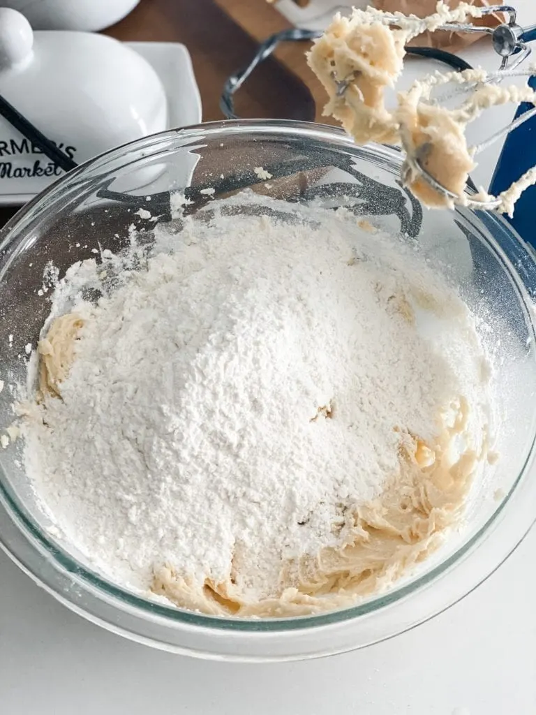 Chocolate Chip Pudding Cookies Pound Dropper