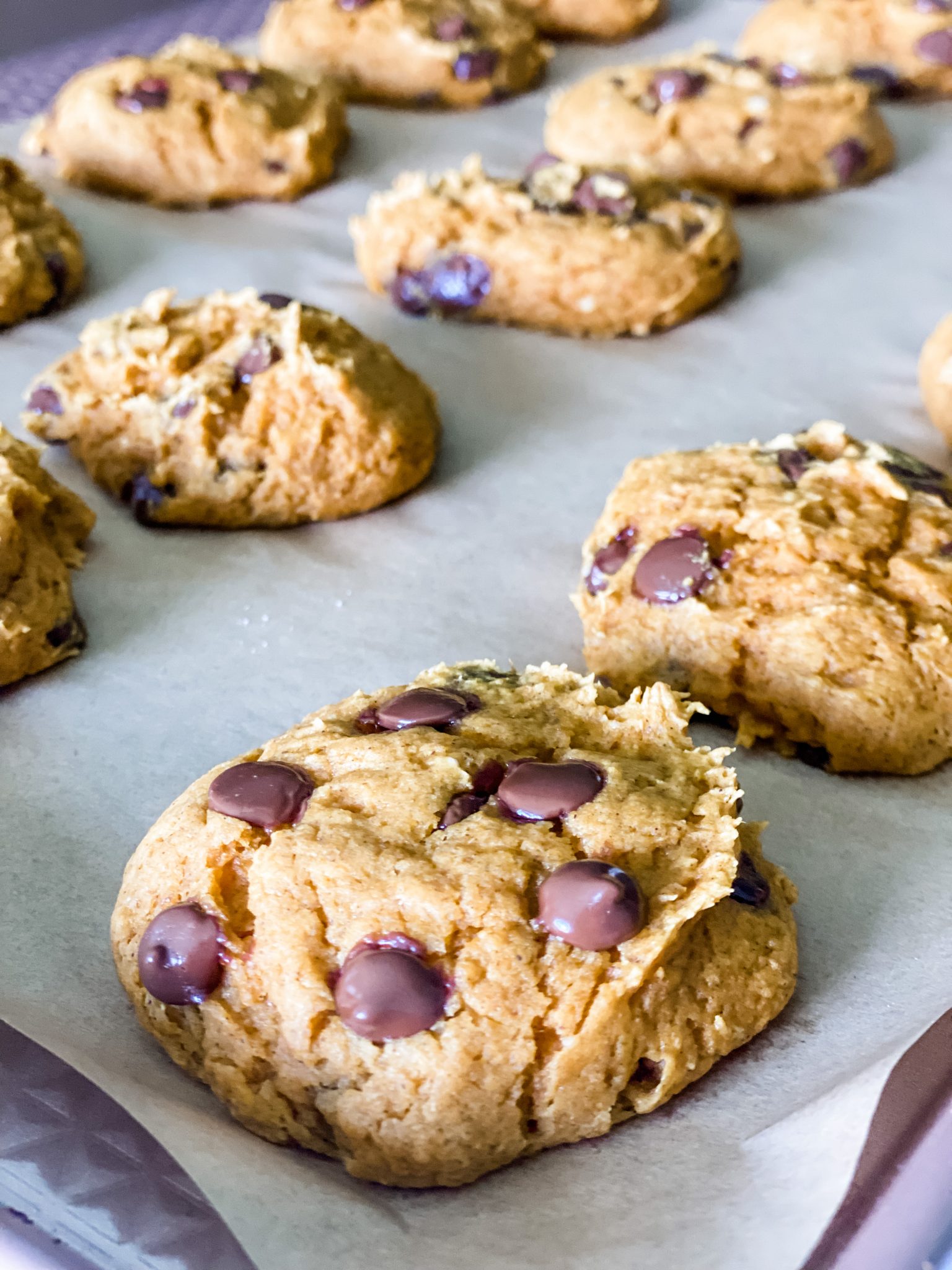 Cake Mix Pumpkin Chocolate Chip Cookies Pound Dropper