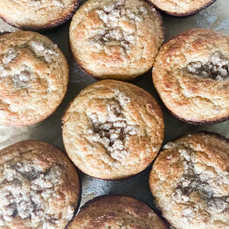 Muffin Recipes