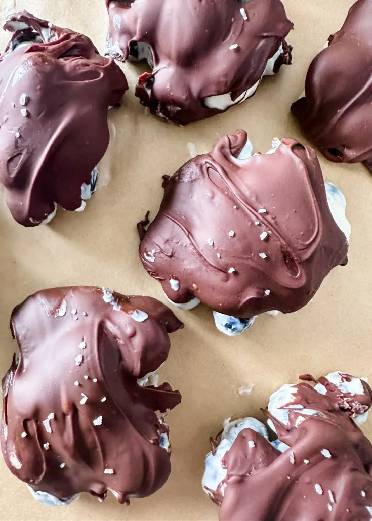 Yogurt Blueberry Clusters Dipped in Chocolate