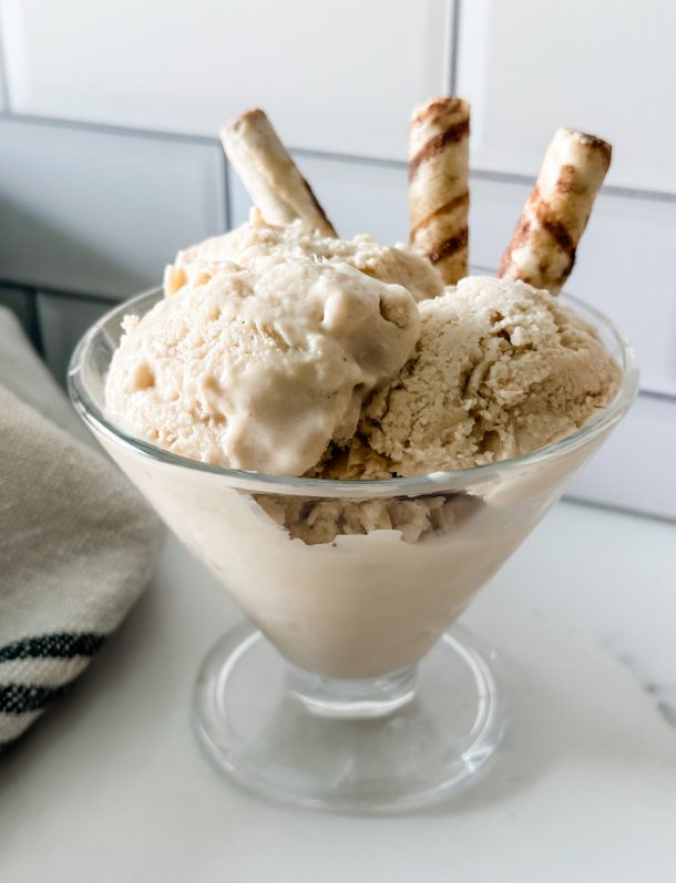 Cottage Cheese Peanut Butter Ice Cream Pound Dropper