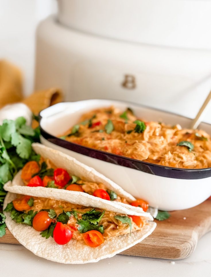 Queso Chicken Street Tacos